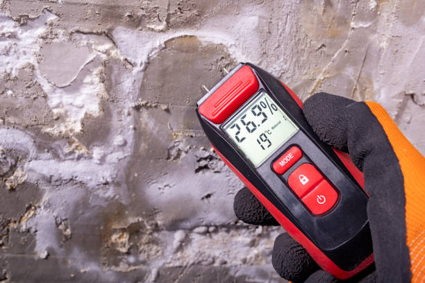 Best Residential Mold Removal  in Midlothian, TX