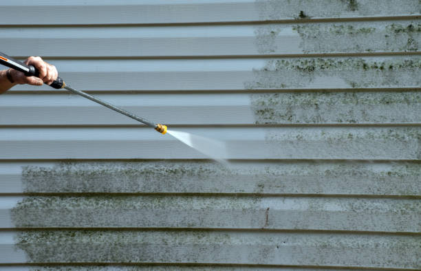 Best Mold Removal Process  in Midlothian, TX