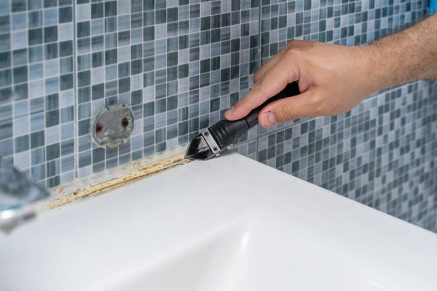Best Home Mold Removal  in Midlothian, TX
